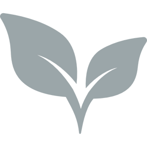 Powerful Antioxidant